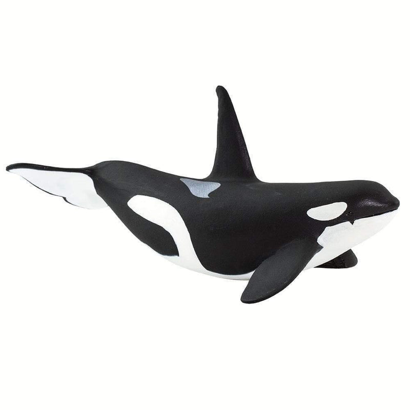 Orca Killer Whale Figurine Sea Life collection - My Playroom 