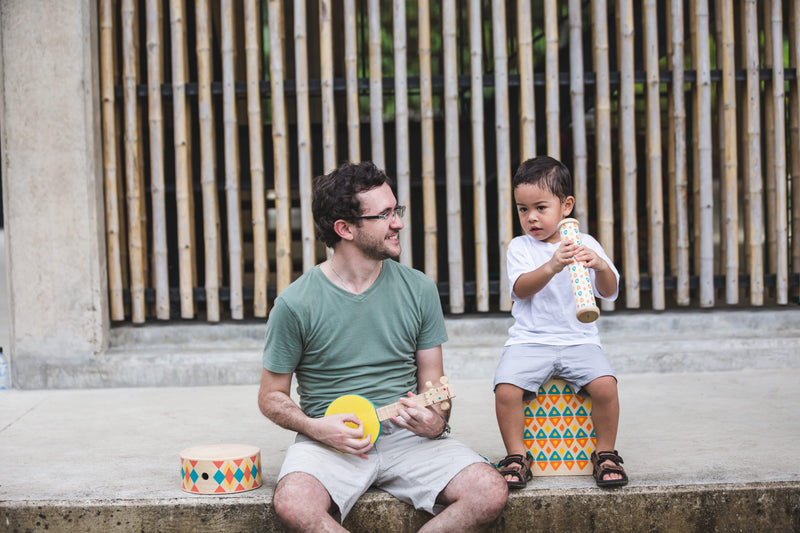 PlanToys Rainmaker 18m+ - My Playroom 