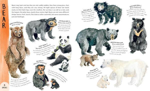 The Variety of Life (Hardcover) - My Playroom 