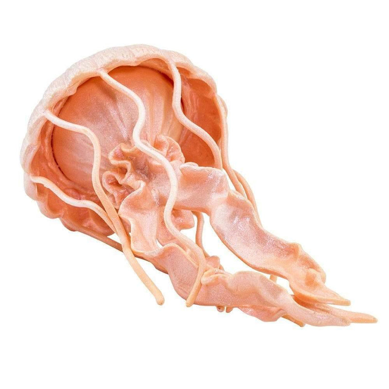 Jellyfish Figurine Sea Life Collection - My Playroom 