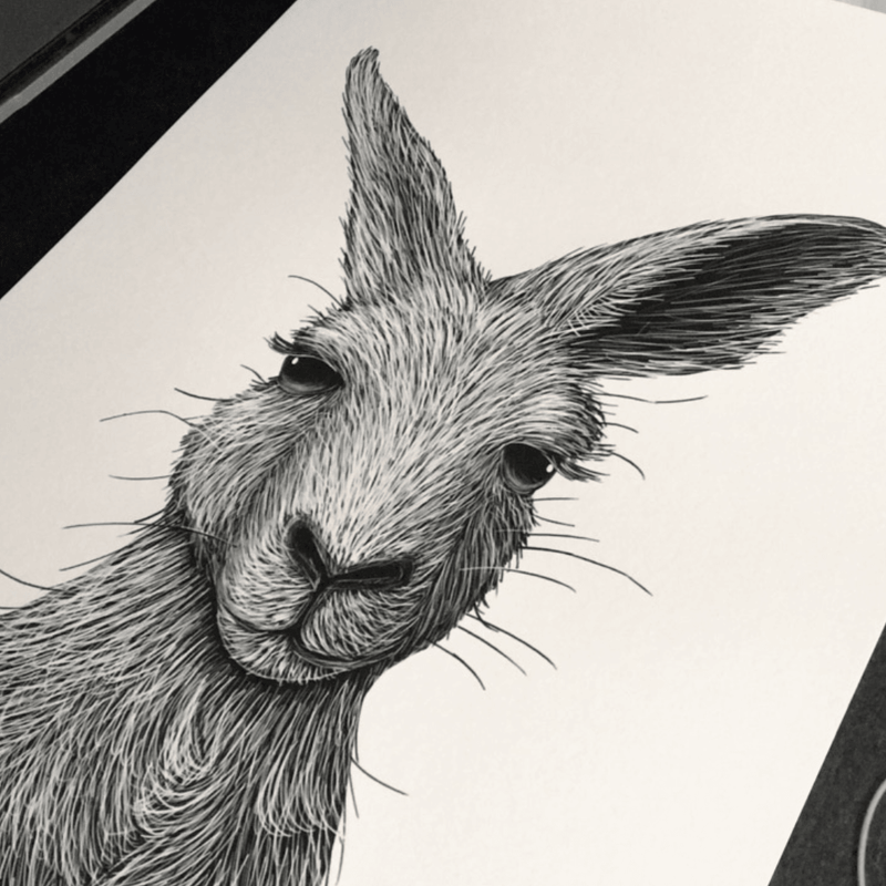 HELLO ROO Limited Edition Art Print - My Playroom 