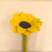 Tara Treasures Felt Sunflower - My Playroom 
