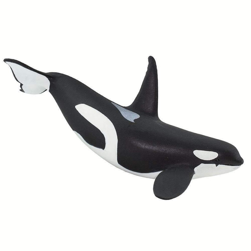 Orca Killer Whale Figurine Sea Life collection - My Playroom 