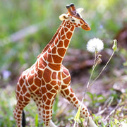 Reticulated Giraffe Extra Large Figurine Safari Collection - My Playroom 