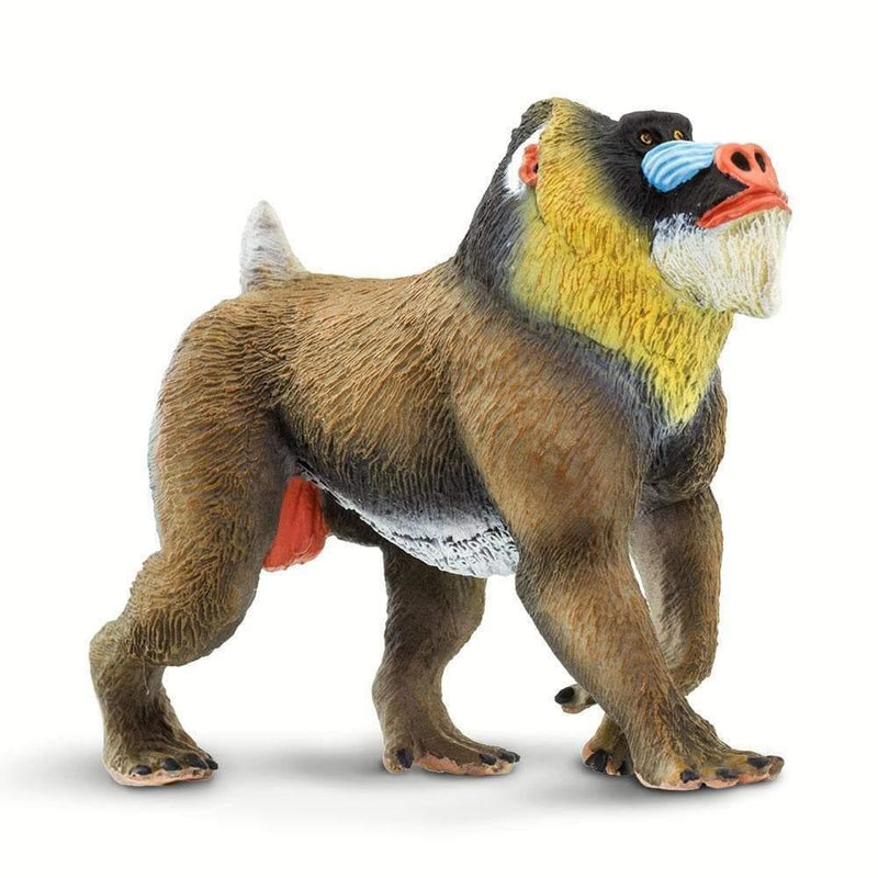 Mandrill Safari Figurine - My Playroom 