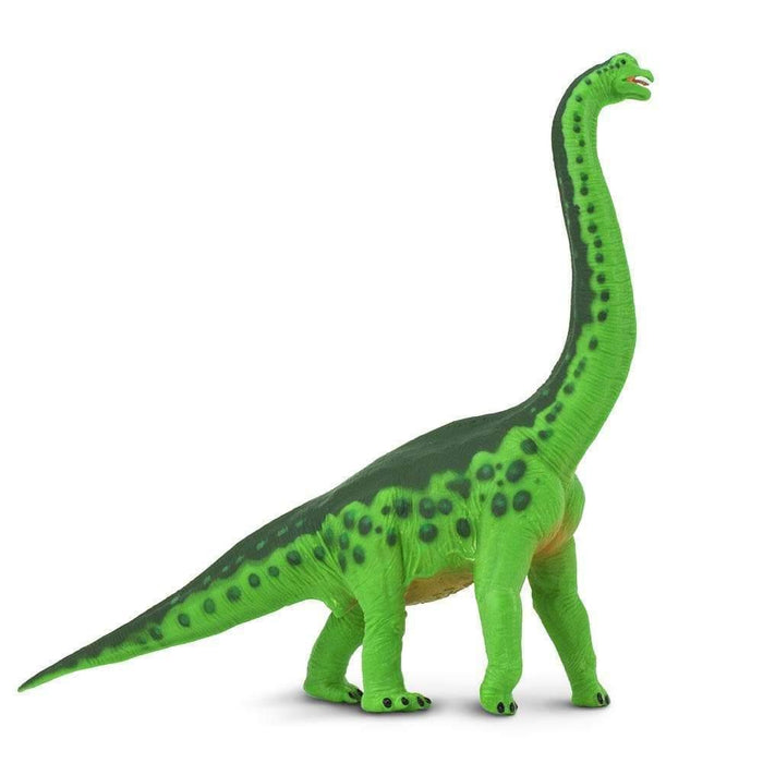Brachiosaurus Figurine Extra Large Dinosaur and Prehistoric World Collection - My Playroom 
