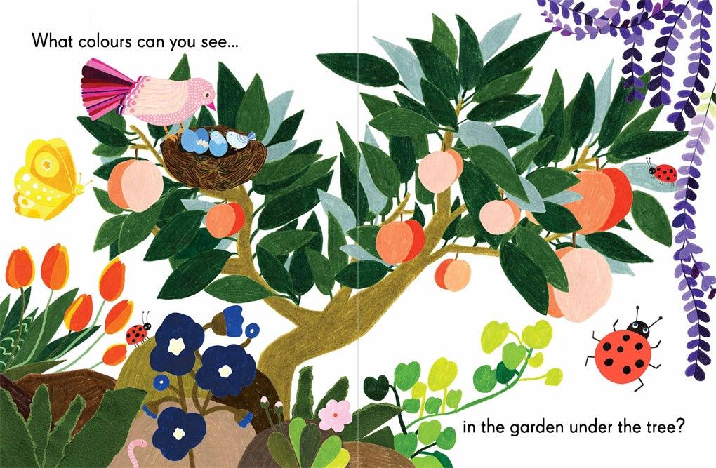 Colours in the Garden (Board Book) - My Playroom 