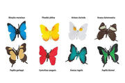 Butterflies Montessori Language Learning Woodland Figurines 3yrs+ - My Playroom 
