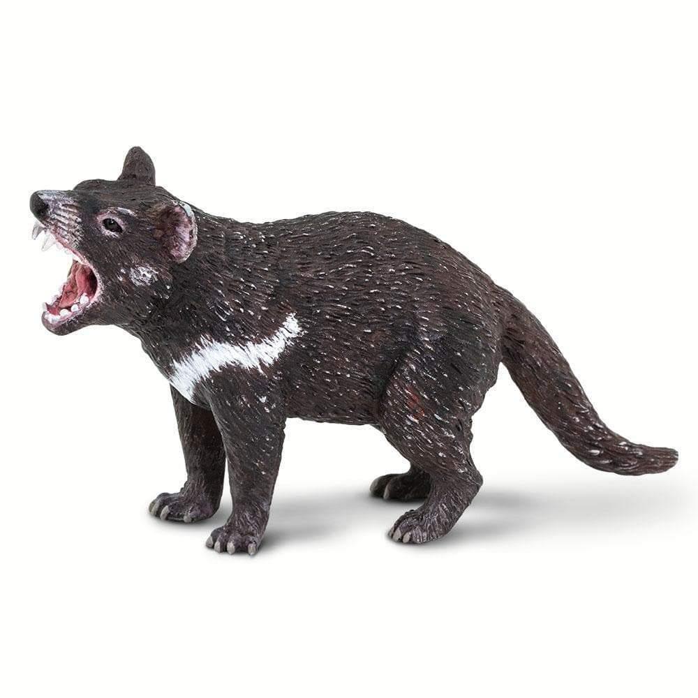 Tasmanian Devil Australian Animals Figurine by Safari Ltd 3yrs My Playroom