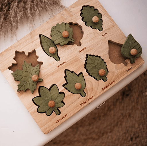 Qtoys Leaf Puzzle 2yrs+ - My Playroom 