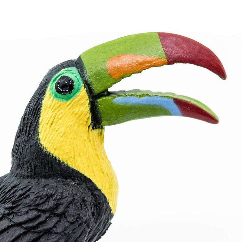 Toucan Figurine Wings of the World Woodland Collection - My Playroom 