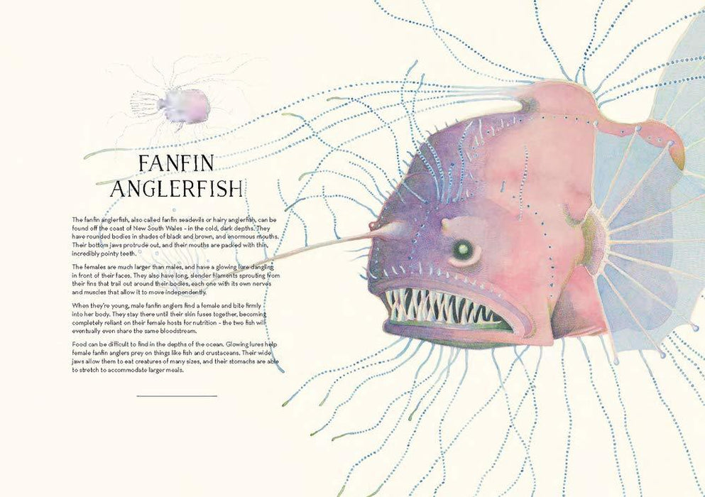 Australian Sea Life - Tactile Illustration (Hardcover) - My Playroom 