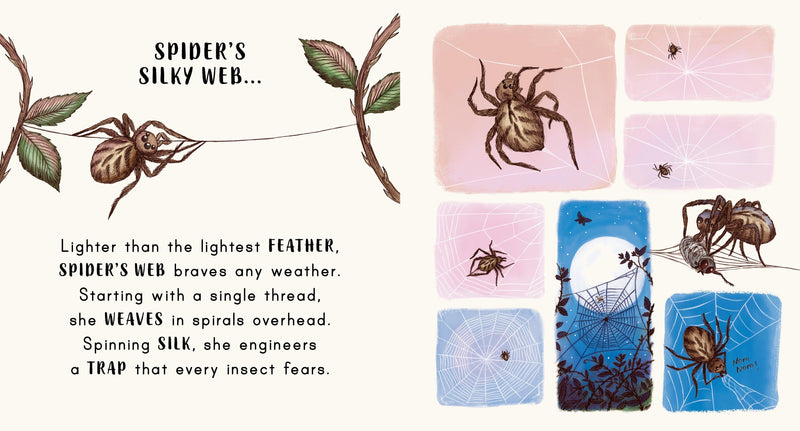 Slow Down... on Your Doorstep (Board Book) - My Playroom 