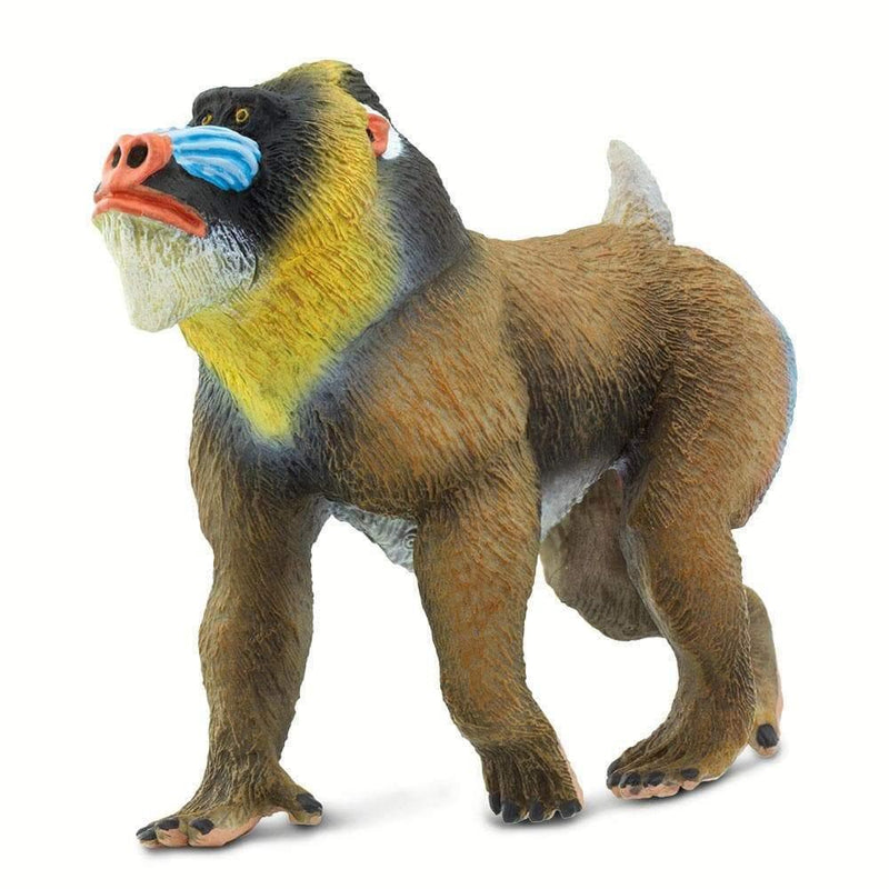 Mandrill Safari Figurine - My Playroom 