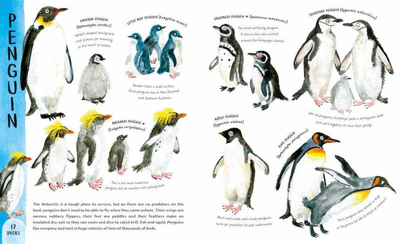 The Variety of Life (Hardcover) - My Playroom 