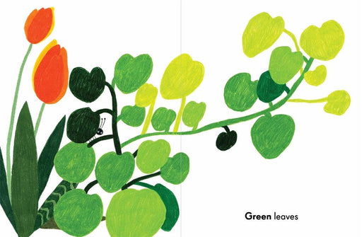 Colours in the Garden (Board Book) - My Playroom 