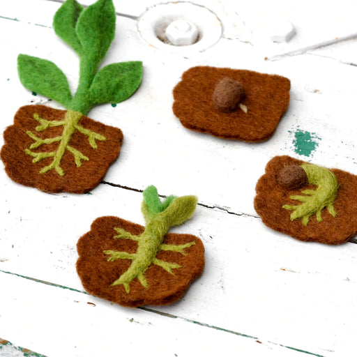 Tara Treasures Felt Lifecycle of Bean Plant - My Playroom 