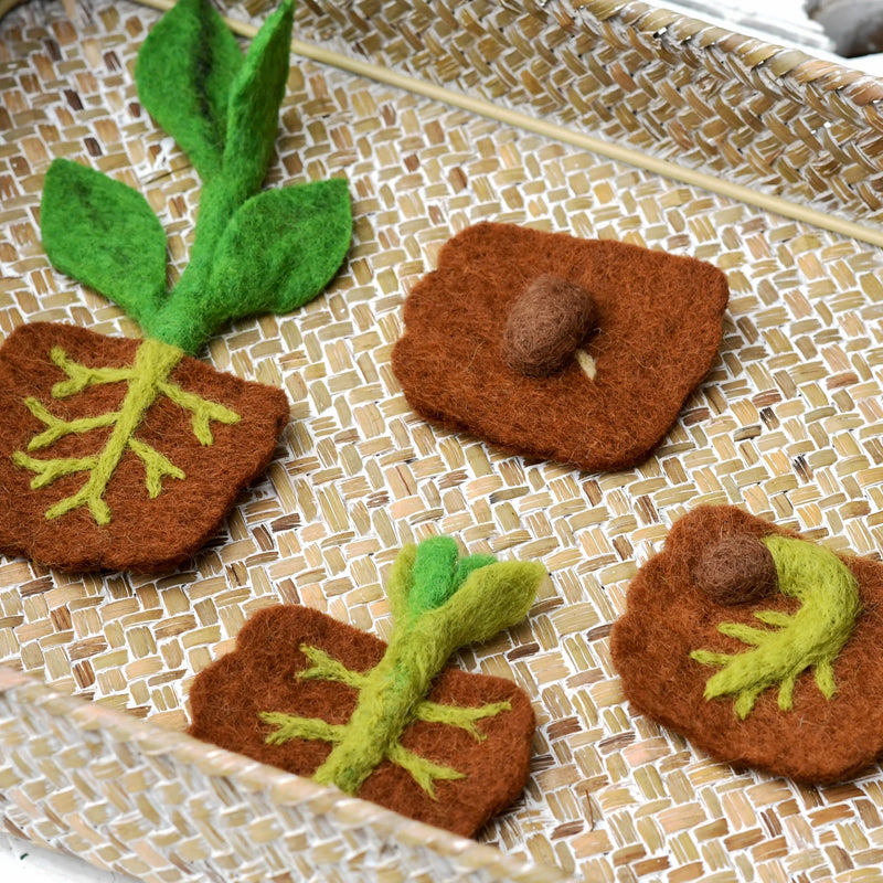 Tara Treasures Felt Lifecycle of Bean Plant - My Playroom 