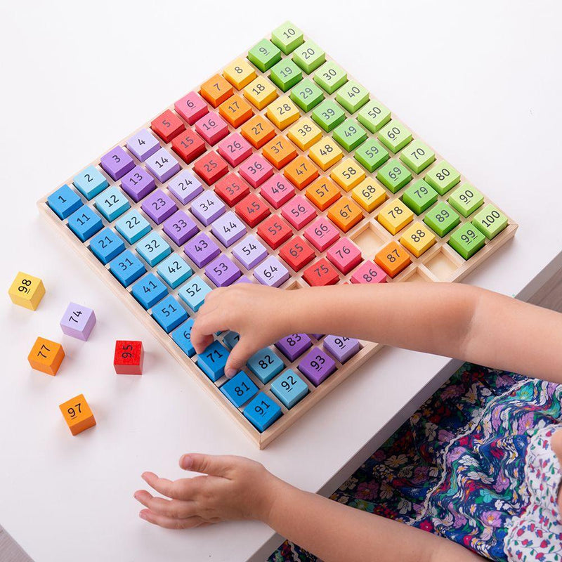 BigJigs Number Tray 1-100 3yrs+ - My Playroom 