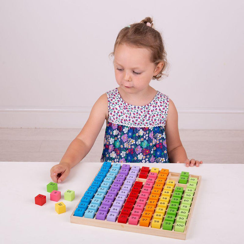 BigJigs Number Tray 1-100 3yrs+ - My Playroom 