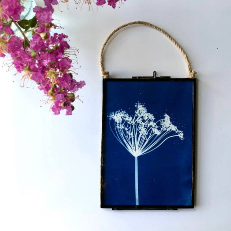 Mini Framed Original Cyanotype Collection 13 x 18cm Assorted