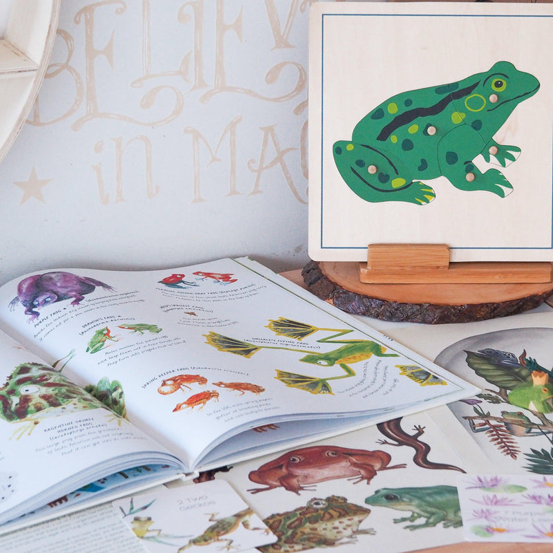Frog Montessori Wooden Puzzle - My Playroom 