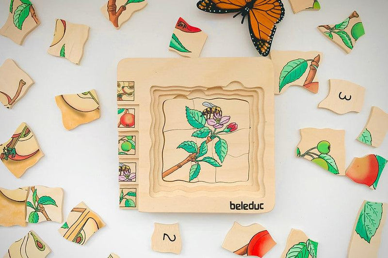 Beleduc Life Cycle Wooden Numbered Multilayer Puzzle - Apple 4yrs+ - My Playroom 