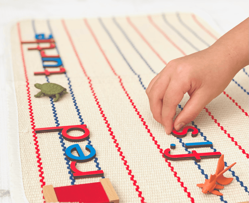 Montessori Moveable Alphabet with Matching Sorting Tray and Lid - My Playroom 