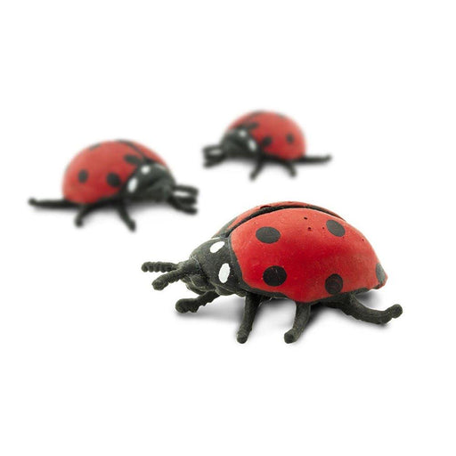 Counting Ladybugs 10 Piece - My Playroom 