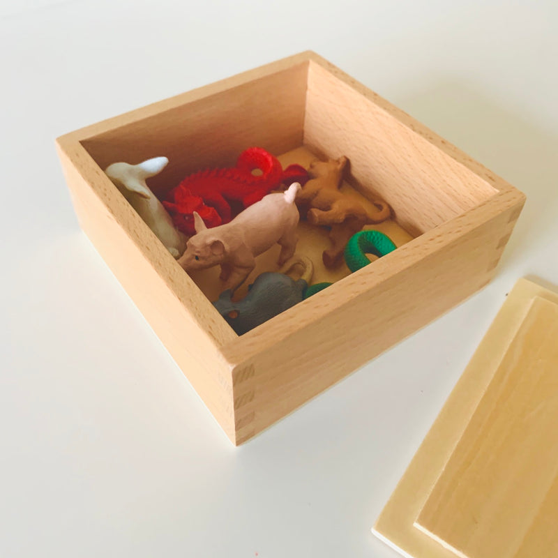 Language figure Storage Box with Lid - My Playroom 
