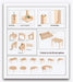 Montessori Furniture Lower Primary CHAIR (6-9 Yrs) Beechwood 35cm(H) - My Playroom 