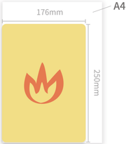 Classroom Mandarin 120 Flash Cards  甲骨文大字卡 - My Playroom 