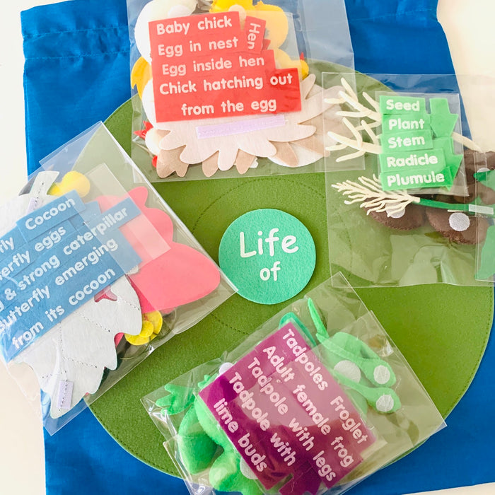 Life Cycles in a Bag with Felt Board - My Playroom 