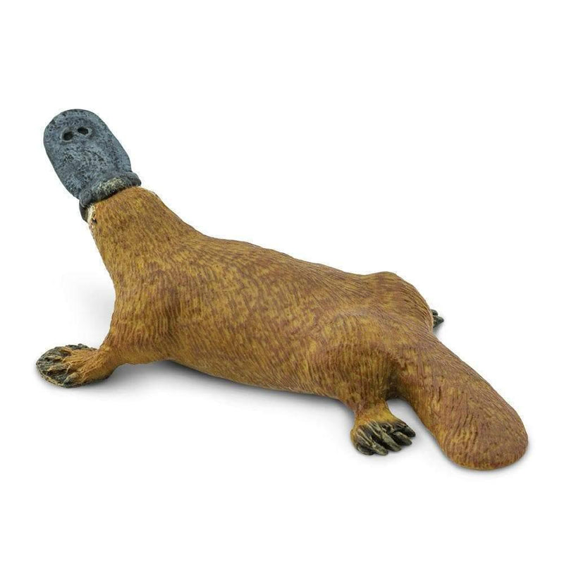 Platypus Australian Figurine - My Playroom 