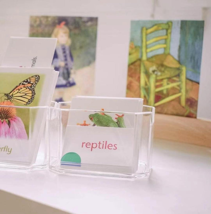 Small Curved Wooden Holder for Language Card, Artwork, Postcard 25cm - My Playroom 