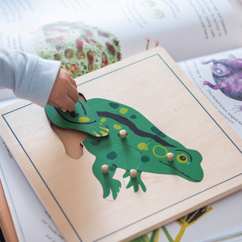 Frog Montessori Wooden Puzzle - My Playroom 