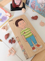 Beleduc 5 Layer Human Anatomy Puzzle Boy 4yrs+ - My Playroom 