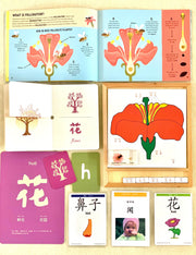 Classroom Mandarin 120 Flash Cards  甲骨文大字卡 - My Playroom 