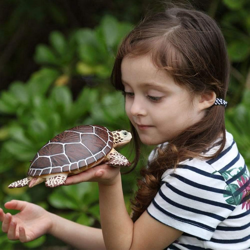 Simone's Turtle Collection Sea Turtle Figurine by Safari Ltd Extra Large Sea Life Collection Incr ...