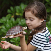 Sea Turtle Figurine Extra Large Incredible Creatures Collection - My Playroom 