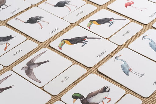 Birds 3-Part Cards English - My Playroom 