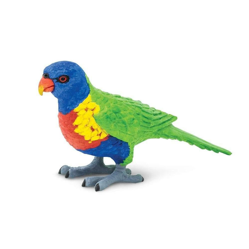 Lorikeet Australian Figurine - My Playroom 