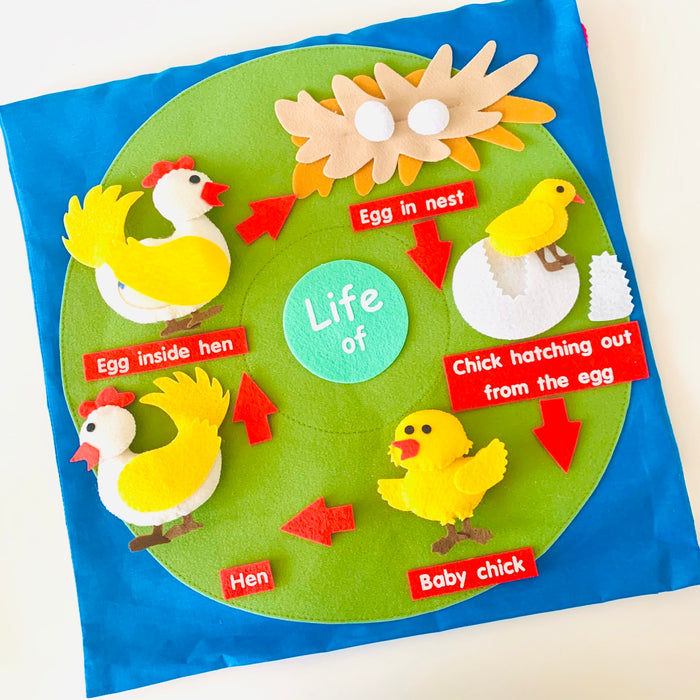 Life Cycles in a Bag with Felt Board - My Playroom 