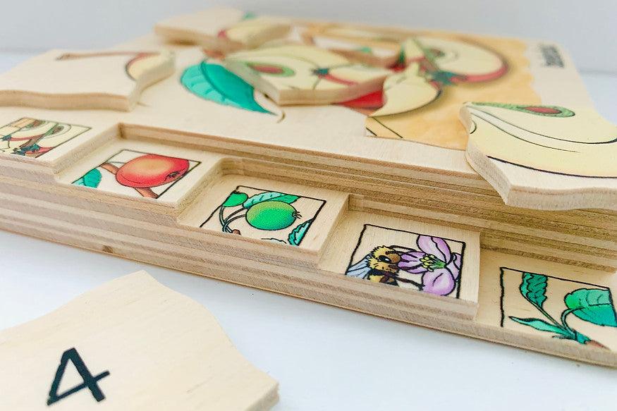 Beleduc Life Cycle Wooden Numbered Multilayer Puzzle Apple Early Scien ...