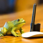 American Bullfrog Figurine Extra Woodland Large Incredible Creatures Collection - My Playroom 