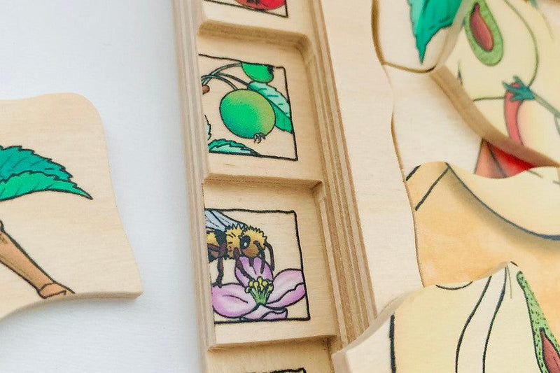 Beleduc Life Cycle Wooden Numbered Multilayer Puzzle - Apple 4yrs+ - My Playroom 