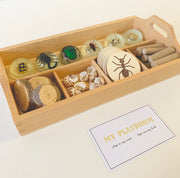 Montessori Wooden Sorting Tray - My Playroom 