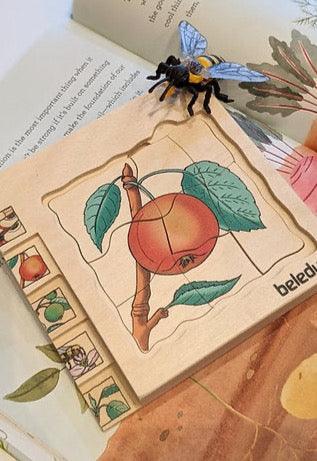 Beleduc Life Cycle Wooden Numbered Multilayer Puzzle - Apple 4yrs+ - My Playroom 