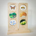 In The Garden Ecosystem Range - Honey Bee by 5 little Bears 3yrs+ - My Playroom 