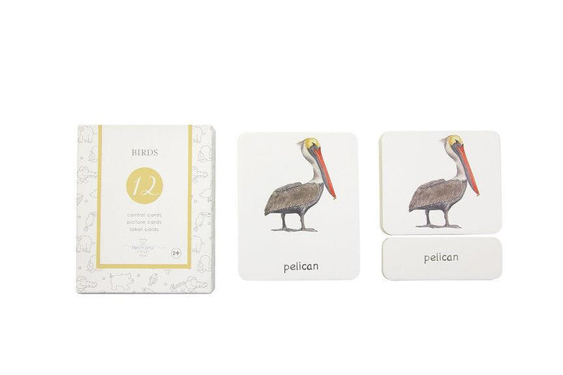 Birds 3-Part Cards English - My Playroom 
